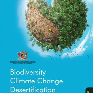 Guide on MEAs Obligations – The Rio Trio