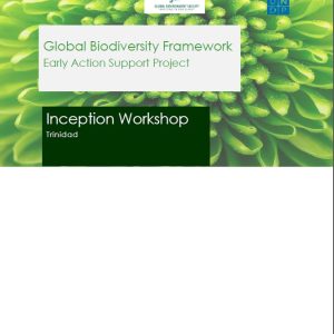 GBF-EAS Inception Workshop Report